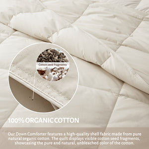 puredown® Organic Cotton Feather Comforter, Bedding Duvet Insert Full/Queen Size, 100% Pure Natural Cotton Cover Breathable Fluffy Feather Comforter with Corner Ties (Beige, 88"x90")
