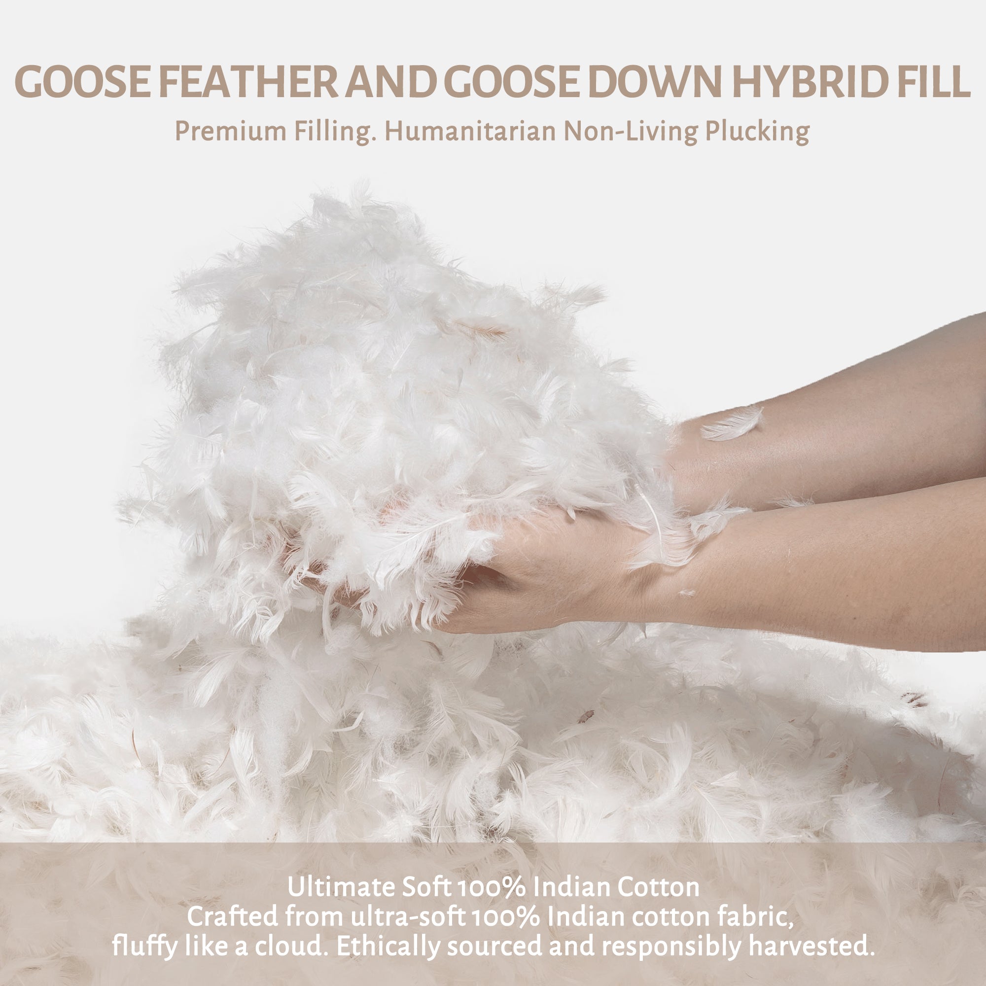 puredown® Organic Cotton Feather Comforter, Bedding Duvet Insert Full/Queen Size, 100% Pure Natural Cotton Cover Breathable Fluffy Feather Comforter with Corner Ties (Beige, 88"x90")