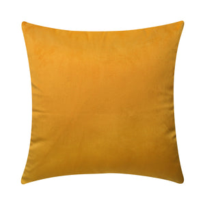 Plush Velvet Cushion Cover